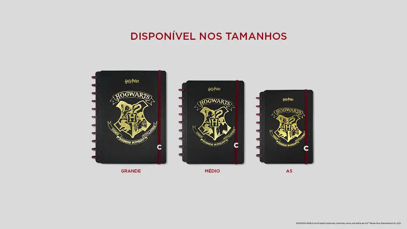 CADERNO CI BY HARRY POTTER