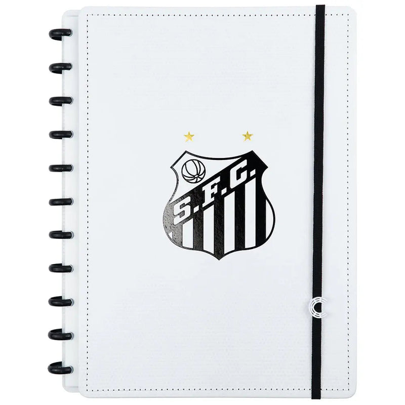 CADERNO DO SANTOS