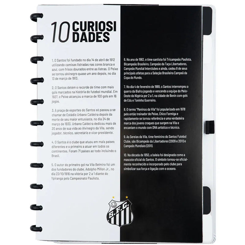 CADERNO DO SANTOS