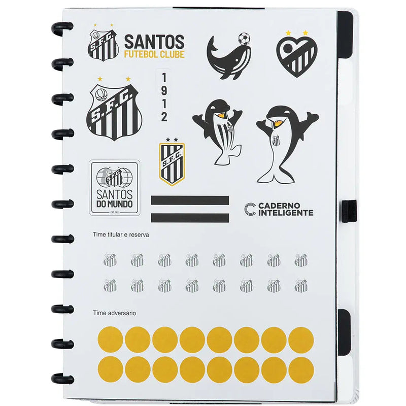 CADERNO DO SANTOS