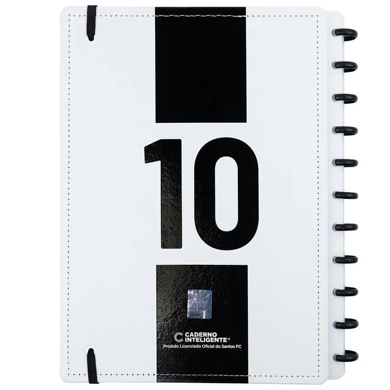 CADERNO DO SANTOS