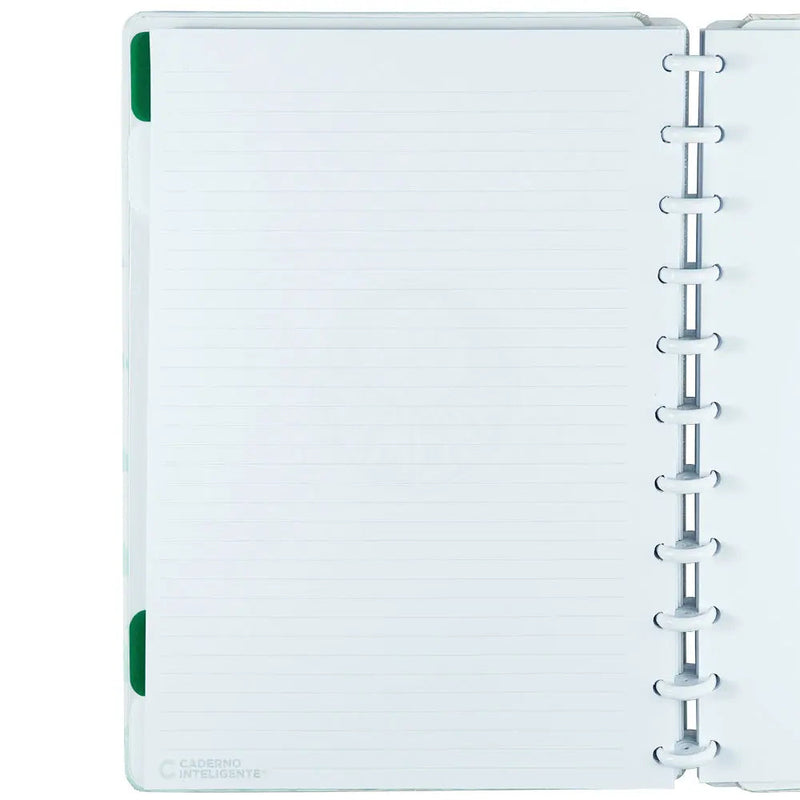 CADERNO PALMEIRAS ALVIVERDE