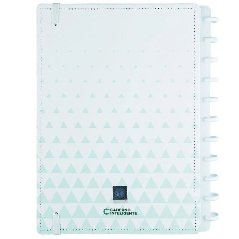 CADERNO PALMEIRAS ALVIVERDE