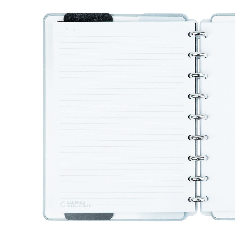 Caderno Glacial