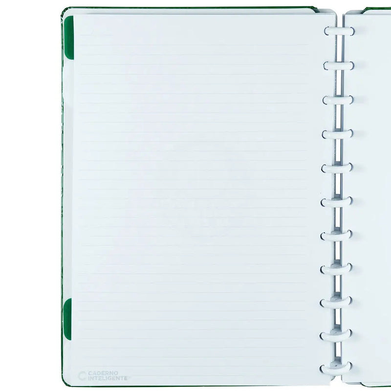 Caderno Palmeiras Verdão